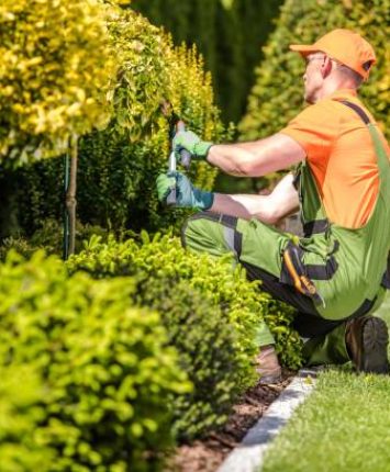 Caucasian Garden Worker in His 30s Trimming Plants Using Large Scissors.